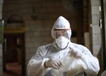 البحث الفقهي عن الأوبئة والطواعين