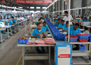 هل يجب أن يتعلم السودان وباقي الأسود الأفريقية من تجربة النمور الآسيوية؟