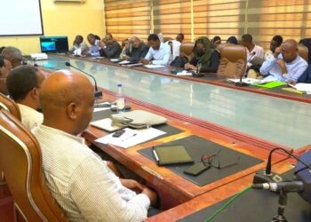 ورشة: تحديات الاقتصاد السوداني في الفترة الانتقالية